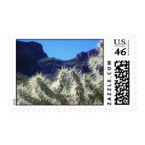 Choya Cactus - Arizona Postage postage