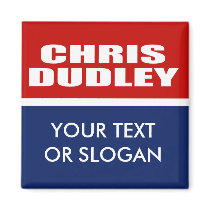 CHRIS DUDLEY FOR GOVERNOR MAGNETS