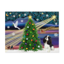 Chrisstmas Magic Cavalier King Charles (Tri) postcards