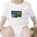 Infant Onesie / Creeper