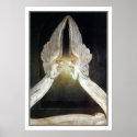 Christ Guarded by Angels by William Blake posters