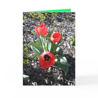 Christian Christmas card for bereaved person. card