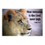 Christian Poster with Mountain Lion and Bible Vers