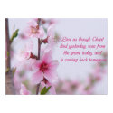 Christian Saying Poster posters by tshirts4christians Christian Saying Poster posters