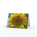 Christian Sunflower Birthday cards by dustytoes Christian Sunflower Birthday cards