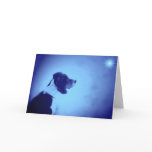 Holiday, Christmas, Card, Photography, Beagle,