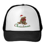 Christmas 2009 hats