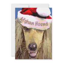Christmas Afghan Hound Invitations