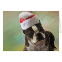 Christmas Amby Greeting Cards