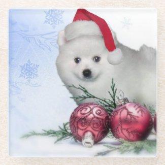 Christmas American Eskimo puppy Glass Coaster