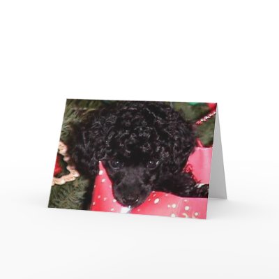Christmas Angel cards