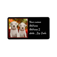 Christmas Argentine Dogo puppies Custom Address Labels