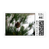 Christmas Arrangement Postage