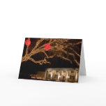 Christmas at Stephen Foster State Park Cards