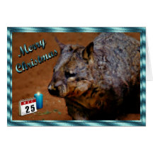 CHRISTMAS AUSTRALIAN WOMBAT Xmas animal Greeting Card