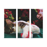 Christmas Baby Kitty Cat, Large Eyed Kitten Alone Canvas Prints