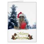 Christmas Bandit Raccoon with Present Greeting Card