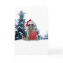 Christmas Bandit with gift cards by I_Love_Xmas Christmas Bandit with gift cards