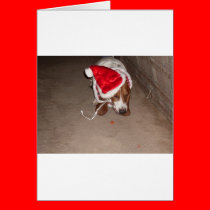 CHRISTMAS BASSET cards