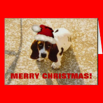 CHRISTMAS BASSET cards