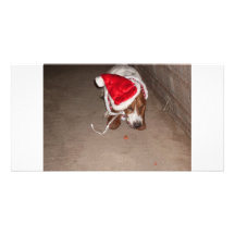 CHRISTMAS BASSET CUSTOM PHOTO CARD