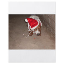 CHRISTMAS BASSET FULL COLOR FLYER