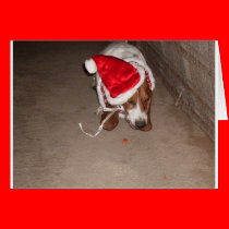 CHRISTMAS BASSET cards