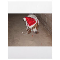 CHRISTMAS BASSET letterhead