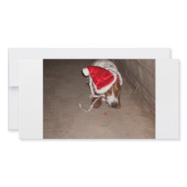 CHRISTMAS BASSET photo cards