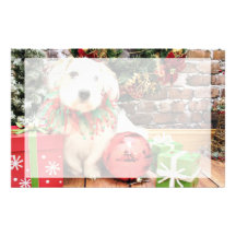 Christmas - Basset X - Maggie Stationery Design