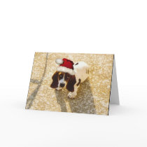 Christmas Bassett Hound Card by mydoggieworld Christmas Bassett Hound Card