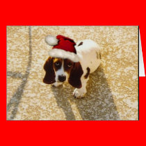 Christmas Bassett Hound Card cards