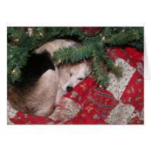 Christmas Beagle Cards