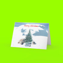 Christmas Bears cards