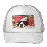 Christmas - Bernese Mountain Dog - Mya Trucker Hats