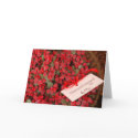 Christmas Berries cards by elisaperusin Christmas Berries cards