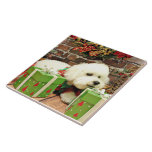 Christmas - Bichon Frise - Cooper Tiles