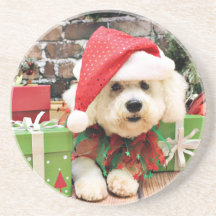 Christmas - Bichon Frise - Daisy Beverage Coasters