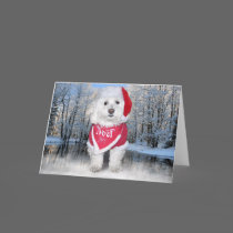 Christmas Bichon Frise Dog Cards