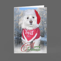 Christmas Bichon Frise Dog Cards