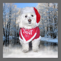 Christmas Bichon Frise Dog Posters