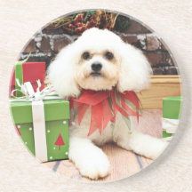Christmas - Bichon Frise - Hermie Coaster
