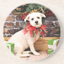 Christmas - Bichon Frise - Holly Coasters