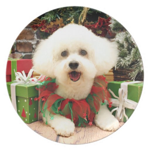 Christmas - Bichon Frise - Lilly Dinner Plate | Zazzle