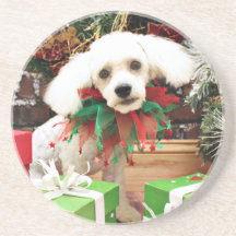 Christmas - Bichon Frise - P.J. Drink Coaster