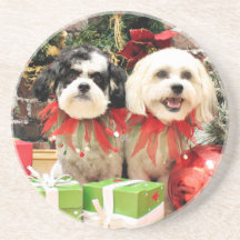 Christmas - Bichon Frise X - Bella and Lexi Coasters