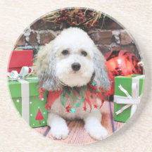 Christmas - Bichon Frise X - Macy Coasters