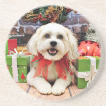 Christmas - Bichon X - Bella Coaster