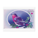 christmas bird blue post card