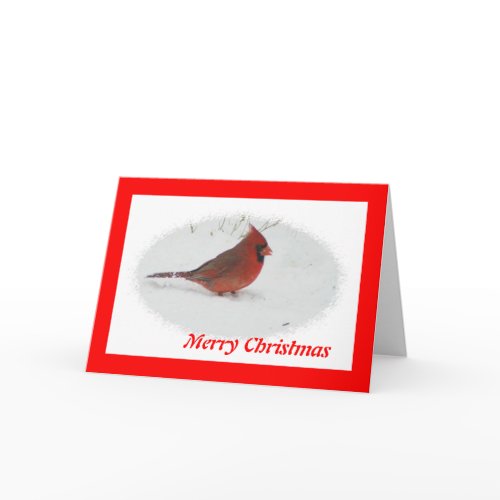 Christmas Bird card